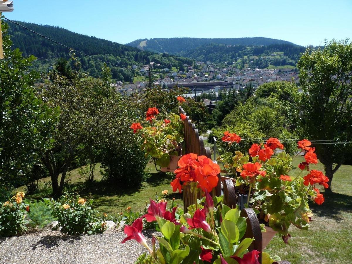 La Maison Bel'Air Gerardmer Ngoại thất bức ảnh