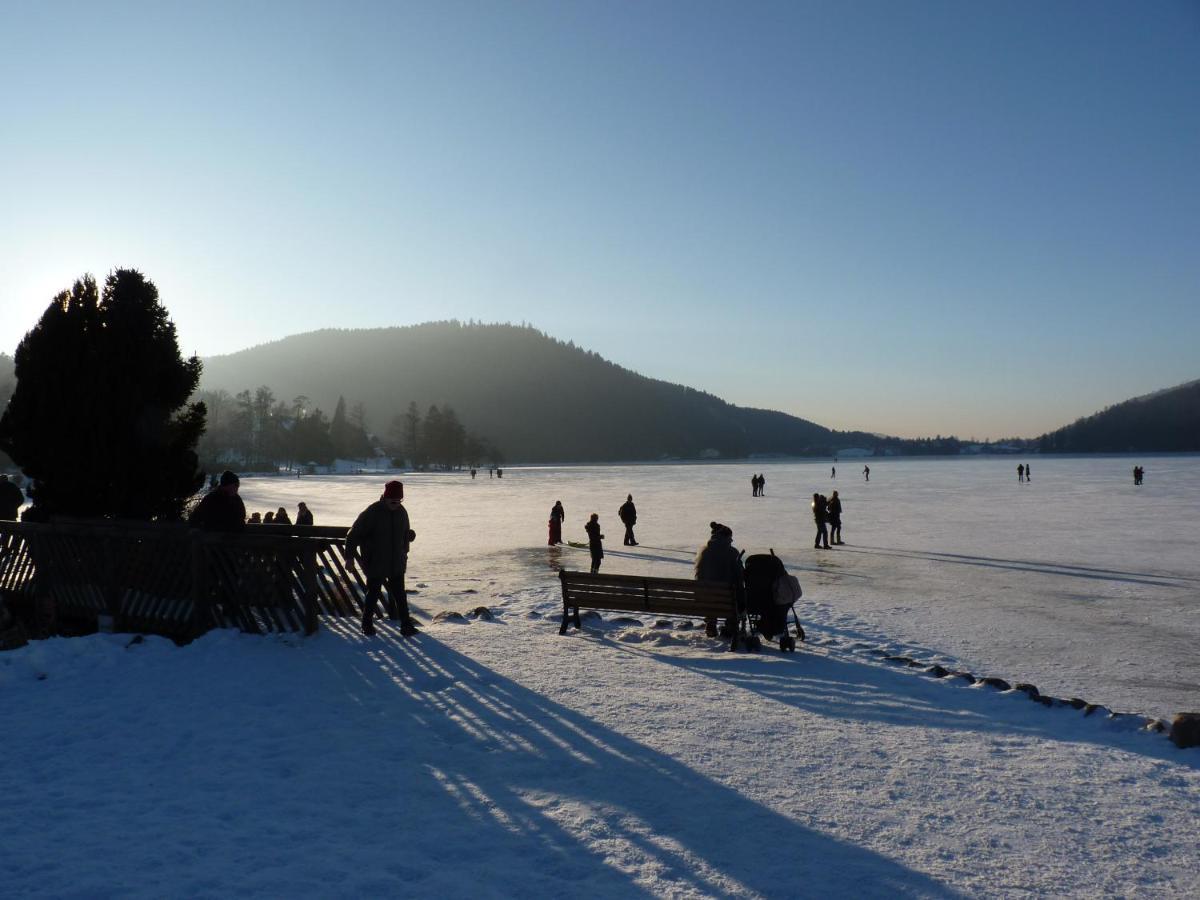 La Maison Bel'Air Gerardmer Ngoại thất bức ảnh